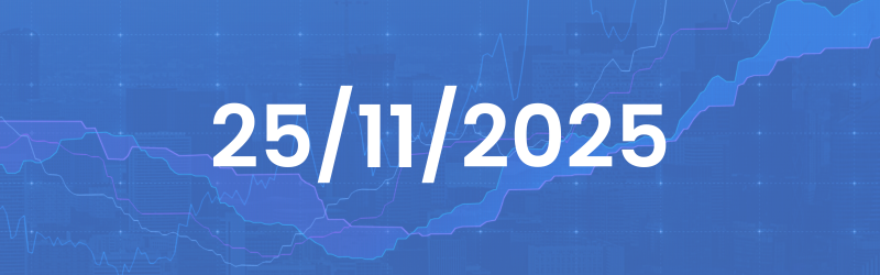 Daily Analysis 25/11/2025